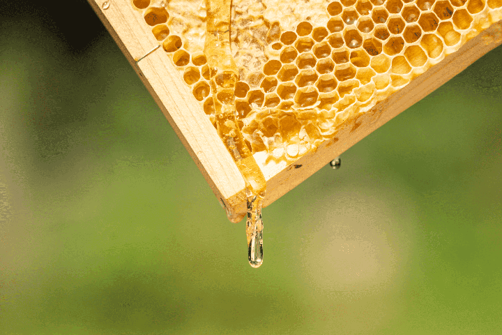 はちみつイメージ画像